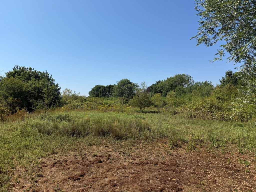 Lot: 48 - JUST UNDER FIVE ACRES OF LAND INCORPORATING LAKE - View of land two